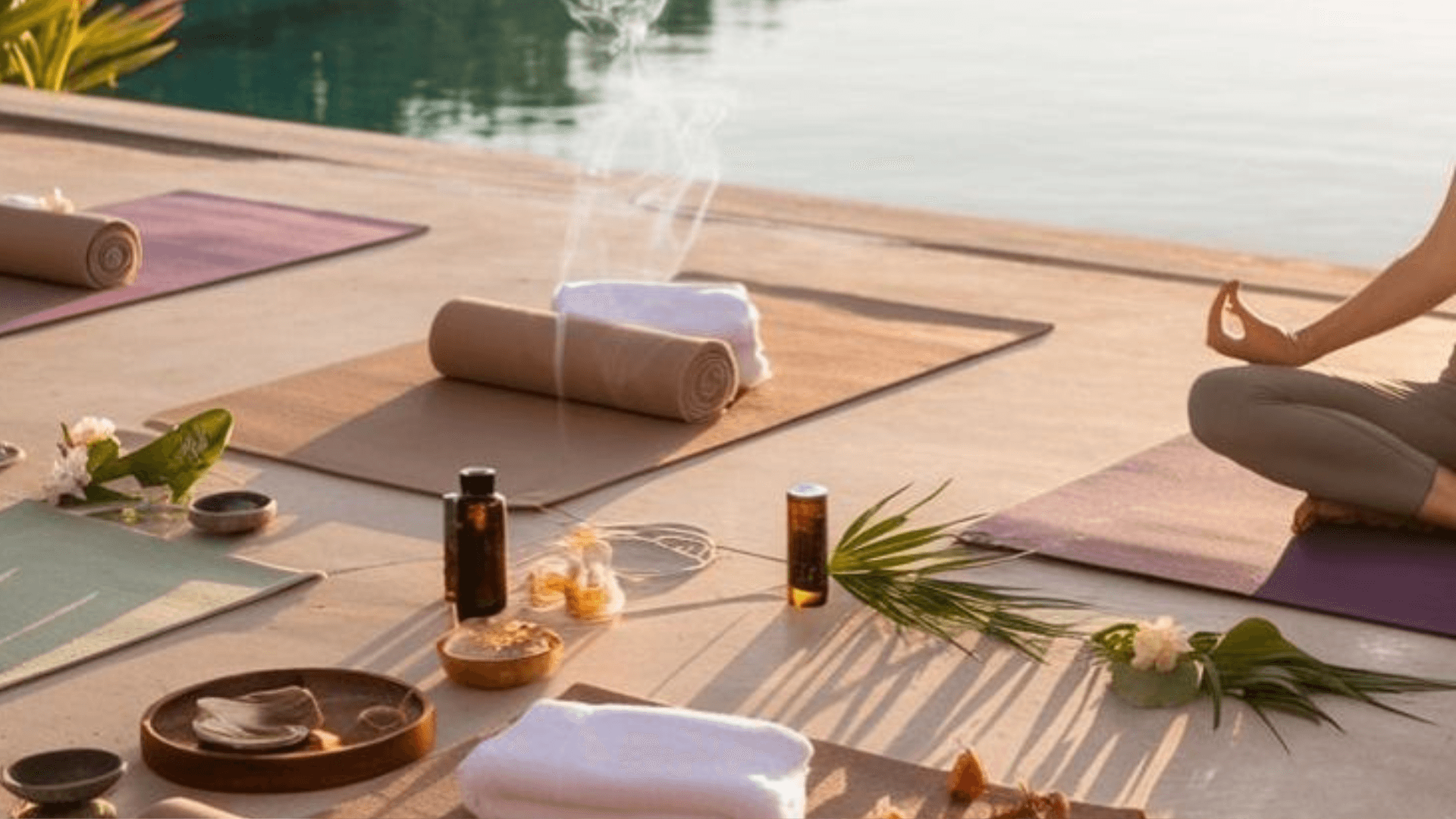 Wellness Experience